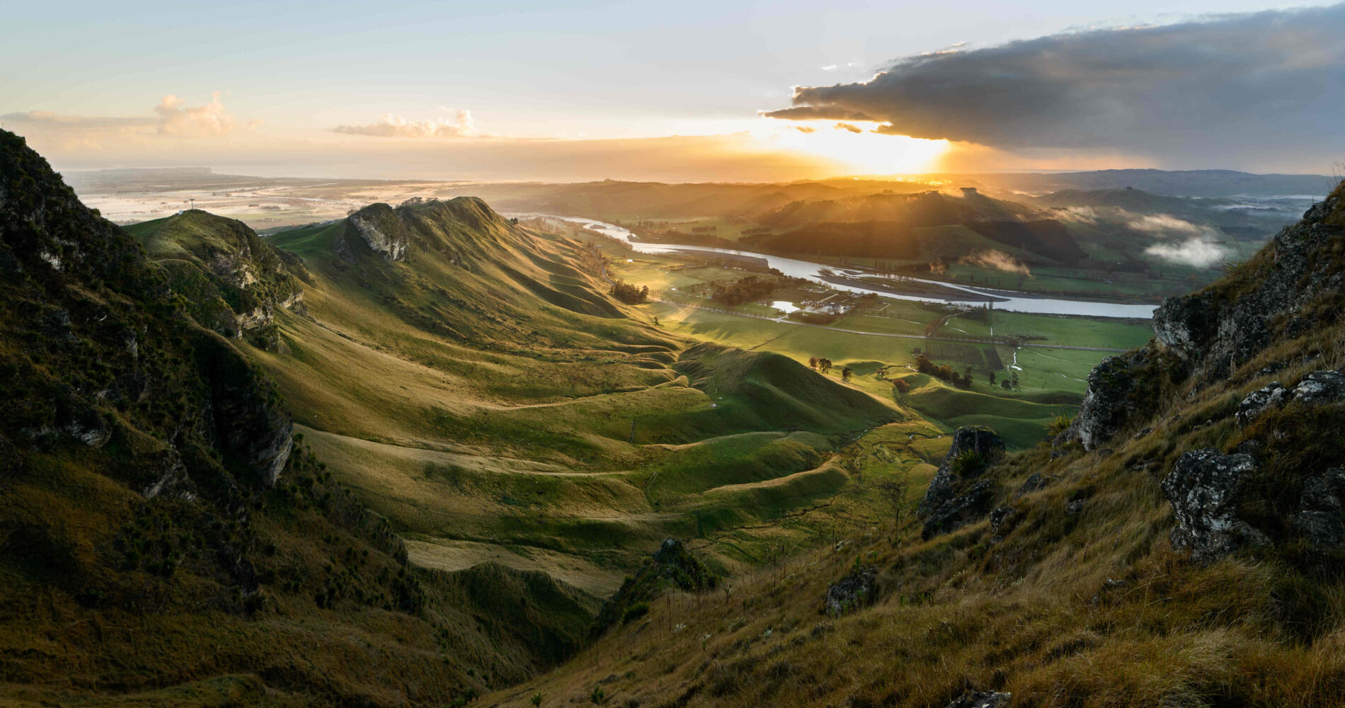 Rolling hills of Te Mata Peak Farm at golden hour